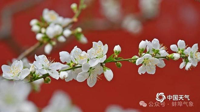 寒潮发力 气温大跳水(图2)