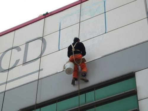 广州为何在广东“七剑客”中缺席？揭秘机器人产业的实力与未来