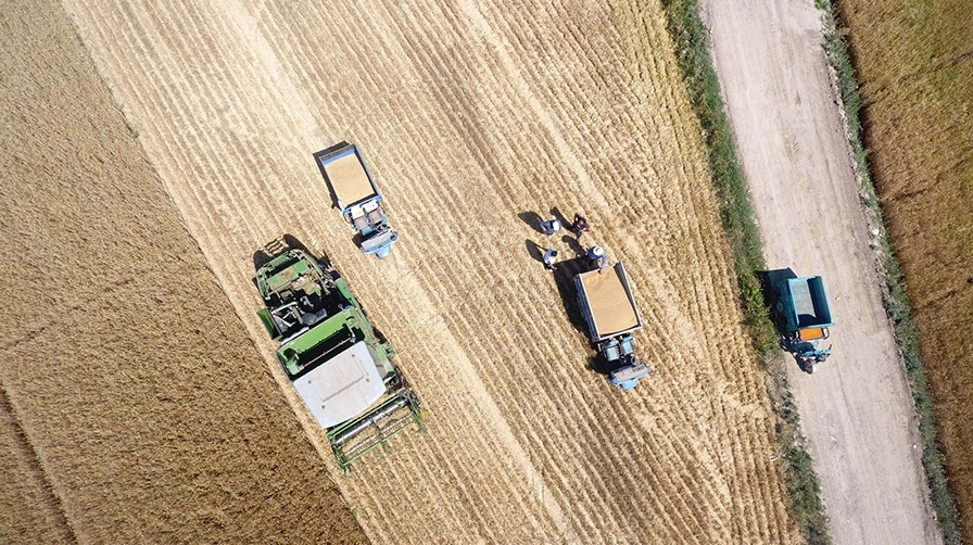 聊报头条丨两河之畔上演“光子革命(图4)