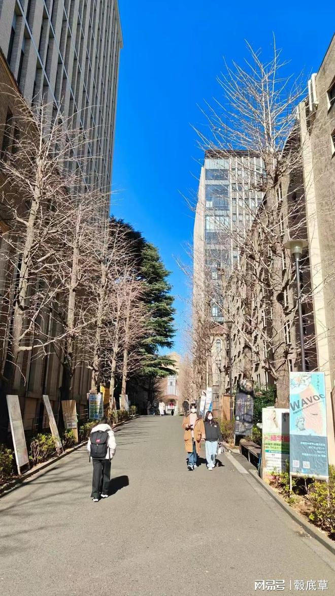 中国武侠片的国际影响