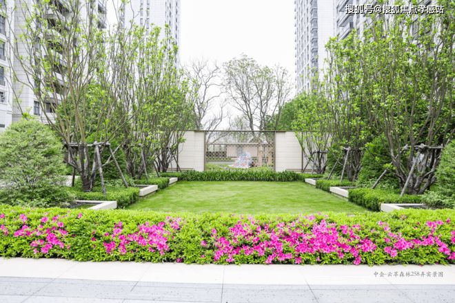 中企云萃森林官方售楼处发布：千年城韵一萃成森共阅传世大境(图17)