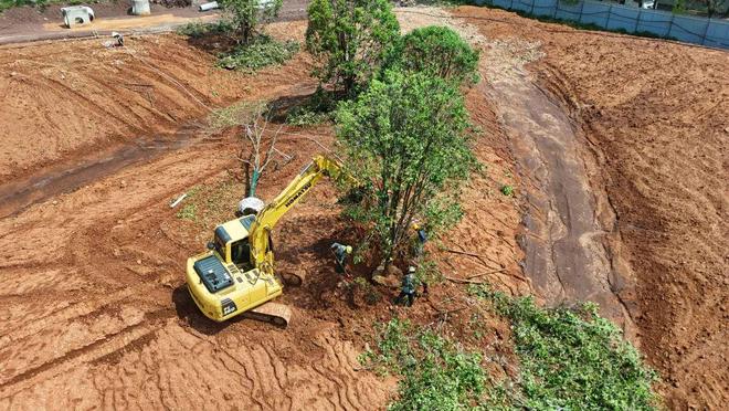 已完成50%！赣州这个大公园建设加速推进(图4)