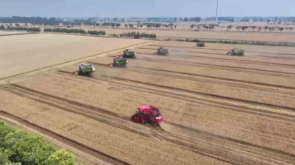 “三夏”生产一线观察｜智能农业“慧”丰收