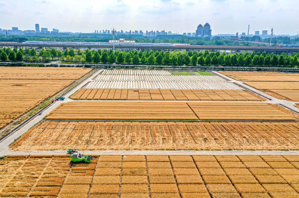 “三夏”生产一线观察｜智能农业“慧”丰收(图4)