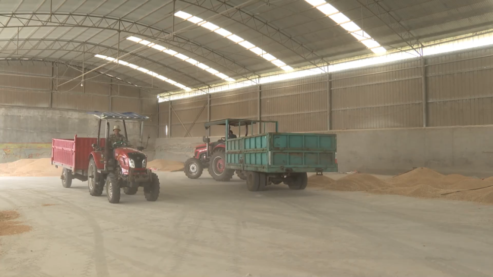 “三夏”生产一线观察｜智能农业“慧”丰收(图2)