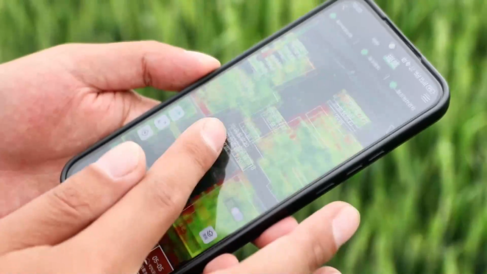 “三夏”生产一线观察｜智能农业“慧”丰收(图6)