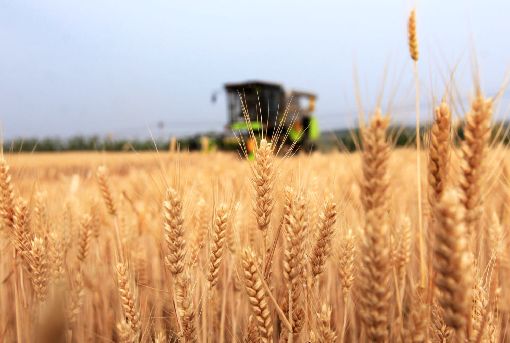 “三夏”生产一线观察｜智能农业“慧”丰收(图7)