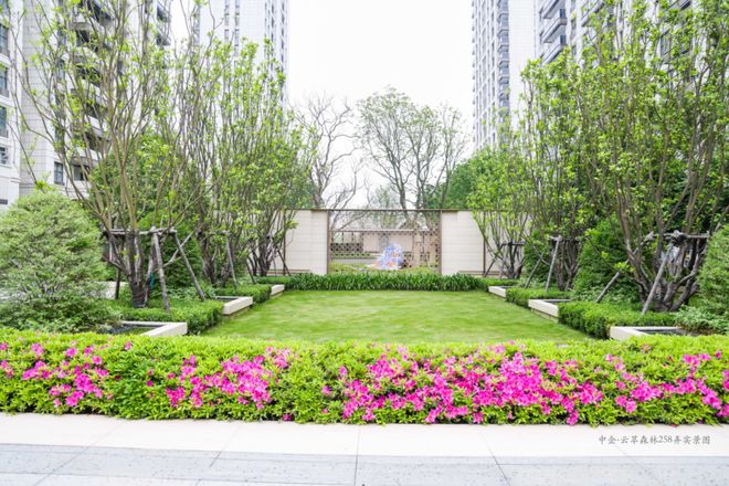 官方聚焦中企云萃森林官方售楼处发布：云萃森林以品质铸就传奇(图2)