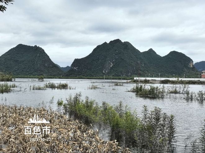 百色“锅底”村庄水患：被浸泡逾半月的家园和生计(图7)