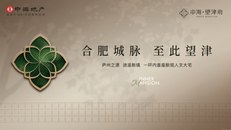 中海望津府项目户型图-学区(图4)