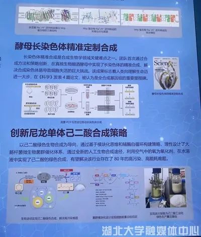 2026年合成香料产业：天然等同、功能化、个性化三大趋势定义未来