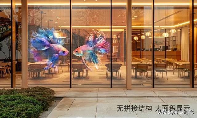 定义空间的光显魔法师洲明全息显示开辟崭新沉浸式视觉时代(图3)