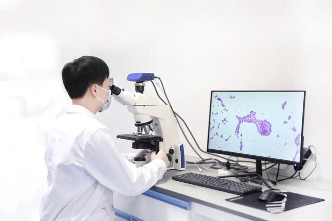 小记者探科技探秘生命密码：走进生物实验室感受“神奇微生物”的独特魅力(图6)